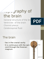 2.topography of The Brain