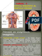 Diagnosticul Imagistic Al Aparatului Urinar
