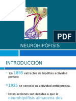 neurohipfisis-120830080135-phpapp01