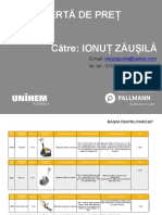 2016 Oferta Pallmann Ionut Zausila