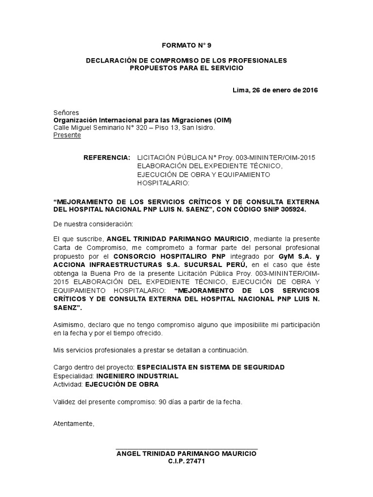 Formato N9 | PDF