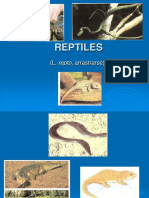 reptiles.pdf1.pdf