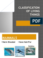 Classification of LIVING THINGS