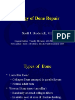 G07 Biology of Bone Repair