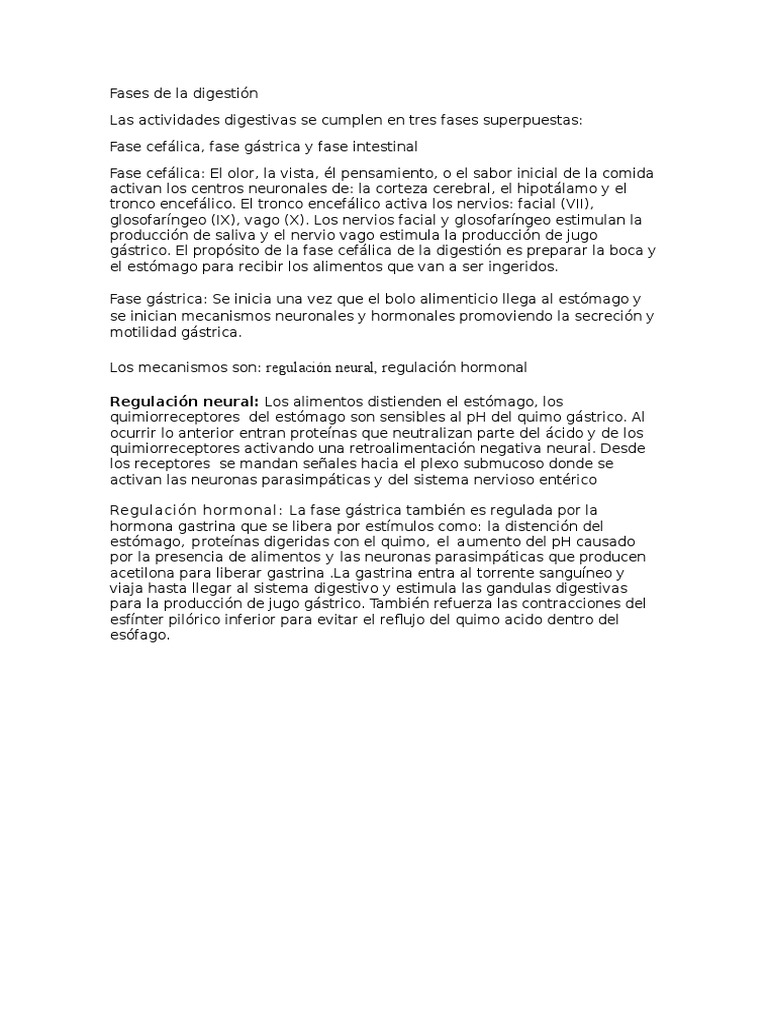 Fases De La Digestión Pdf
