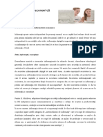 Informatica economica Curs rezumativ.pdf