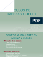 Músculos de Cabeza y Cuello