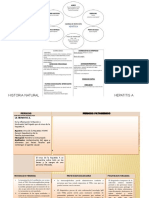 Historia Natural Hepatitis A