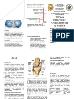 Articulacion de La Rodilla