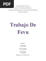 Trabajo de Fevu