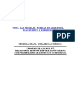 Informe Sobre Consolidacion PDF