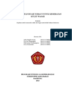 Download Makalah Manfaat Buah tomat untuk kesehatan kulit wajah by Cika Insani R SN332224916 doc pdf