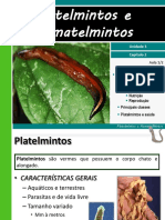 III 2platelmintosenematelmintos 110814211824 Phpapp02 PDF
