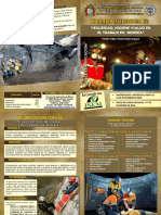 Diptico PDF Final Hsi