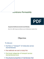 permeability.pdf