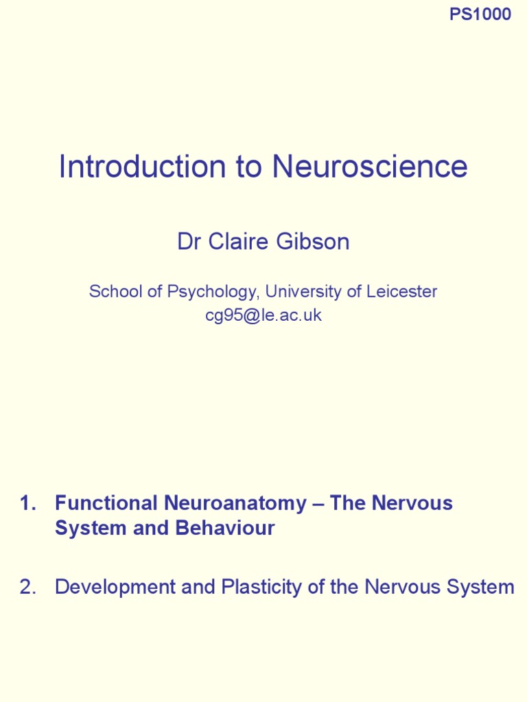 Introduction to Neuroscience Basics | PDF | Neuron | Cerebral Cortex