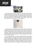 Download Membuat Ragi Tempe Sendiri by krisdaryadi4014 SN332241404 doc pdf