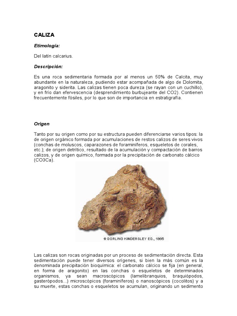 CALIZA | PDF | Caliza | Materiales