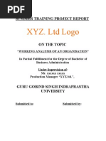Download BBA summer training project report IP University by Vicky_om SN33224566 doc pdf