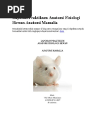 Download Laporan Praktikum Anatomi Fisiologi Hewan Anatomi Mamalia by desitanuramy SN332247314 doc pdf