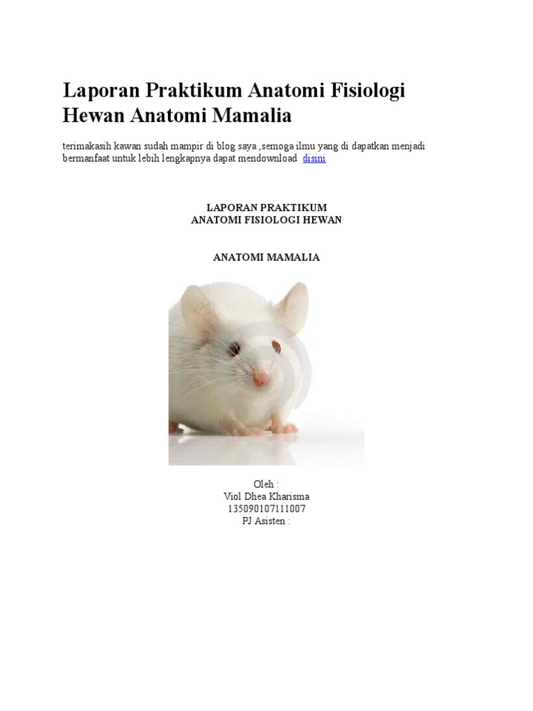 Laporan Praktikum Anatomi Fisiologi Hewan Anatomi Mamalia | PDF