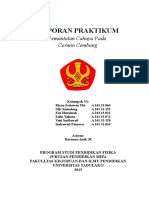 Laporan Kelompok Vi, Riyan Setiawan Uki, Olis Sumalong, Indrawati Pamoras, Zelin Yulistia, Een Huzainah, Yeni Susilawati.