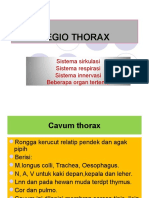 Regio Thorax