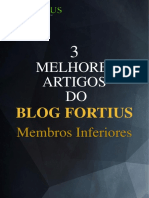 3 Melhores Artigos Membros Inferiores 1