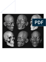 Anatomía - Cabeza Masa y Volumen