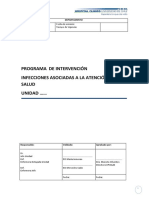 Formato Programa Intervencion Iih 2012