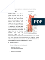 Aspek Biofarmasi Obat Yang Diberikan Melalui Rektal