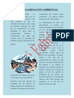 LA CONTAMINACIÓN AMBIENTAL presentar