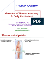 1516 L1 Overview of Human Anatomy & Body Movement