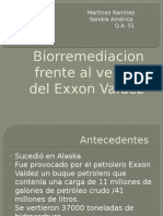Biorremediacion Frente Al Vertido Del Exxon Valdez