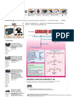 ANTENNA CAROLINA WINDOM ® 160 - QRZ Now - Ham Radio News!