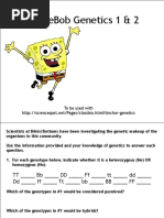 spongebobgenetics