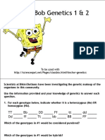 Spongebobgenetics