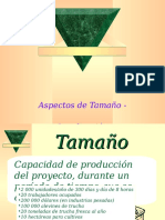 E_Tamaño_Localización.ppt