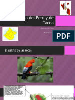 Fauna Del Perú y de Tacna