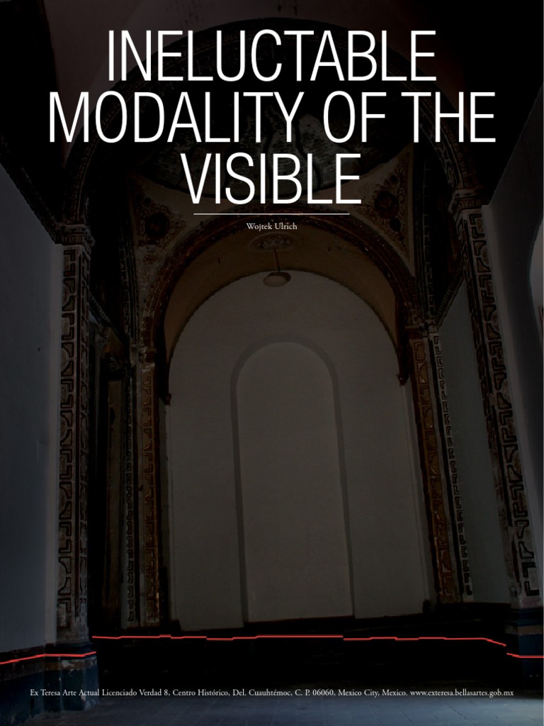 Catalogo INELUCTABLE MODALIDAD DE LO VISIBLE de Wojtek Ulrich en Ex ...