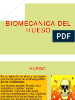 Biomecanica Del Huesopf