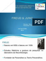 Nocoes Basicas de Freud Jung 2