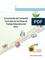 Concentrado Del Contenido Curricular de Las Fichas Del PETC
