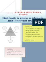 Caso Empresa Farmaceutica Pfizer PDF