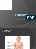 Esófago, estómago.pptx