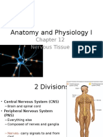 Anatomy and Physiology I: Nervous Tissue