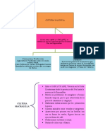 Sociedades Aborígenes Del Ecuador