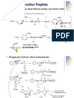 Asam Amino Peptida Dan Protein