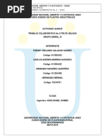 Trabajo Colaborativo Final _grupo_256596_13 Rev 5
