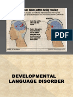 Developmental Language Disorder Dyslexia